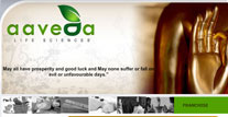 nakul, nakul anand, nakul delhi, web designer delhi, Gurgaon, web design project, affordable web designer, photoshop